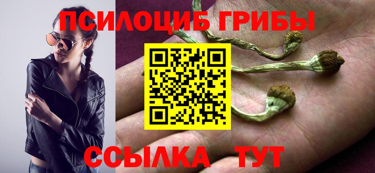 Псилоцибиновые грибы MAGIC MUSHROOMS Нефтекумск