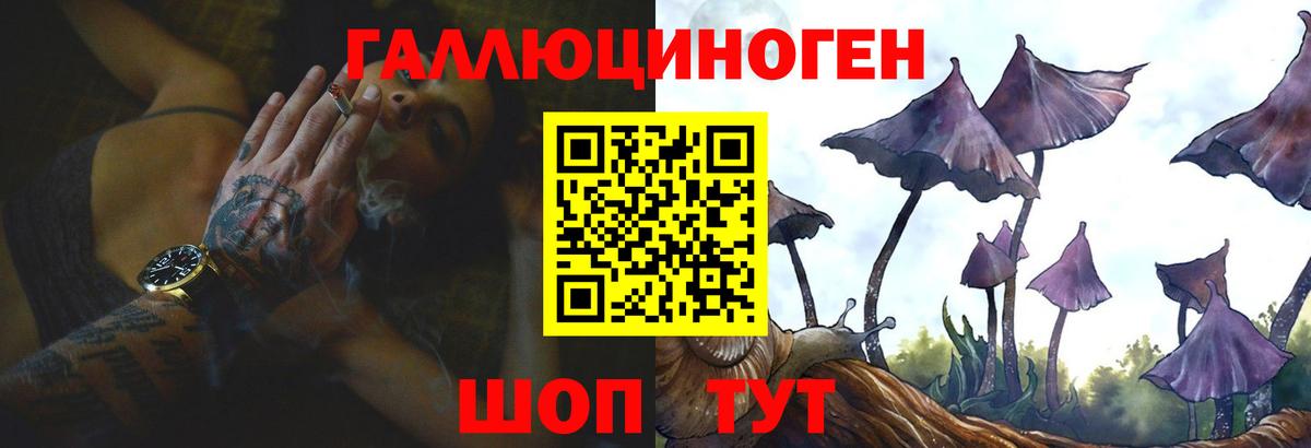 Псилоцибиновые грибы Cubensis  где найти наркотики  Нефтекумск  Вход с VPN 